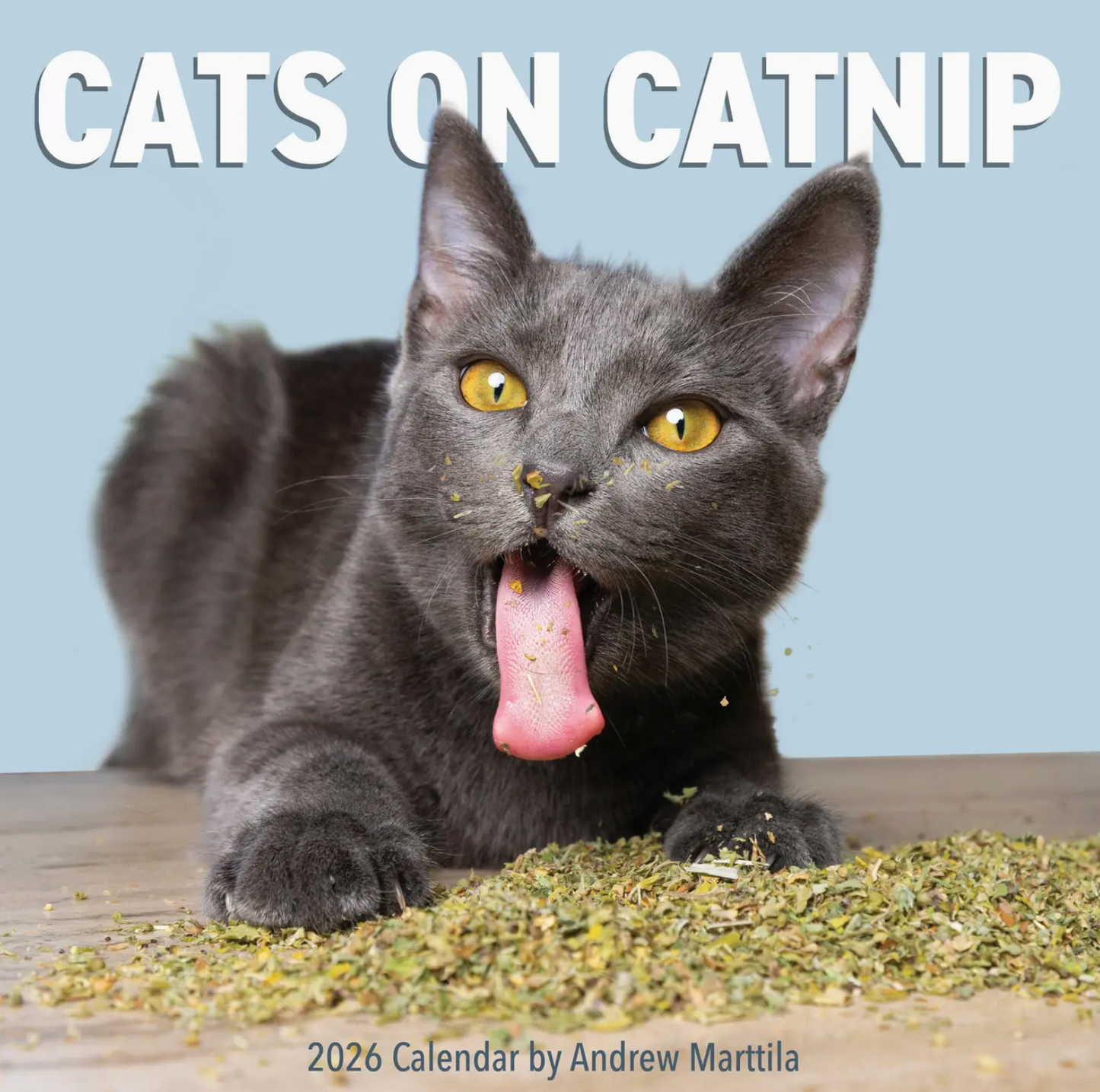 Cats On Catnip Wall Calendar