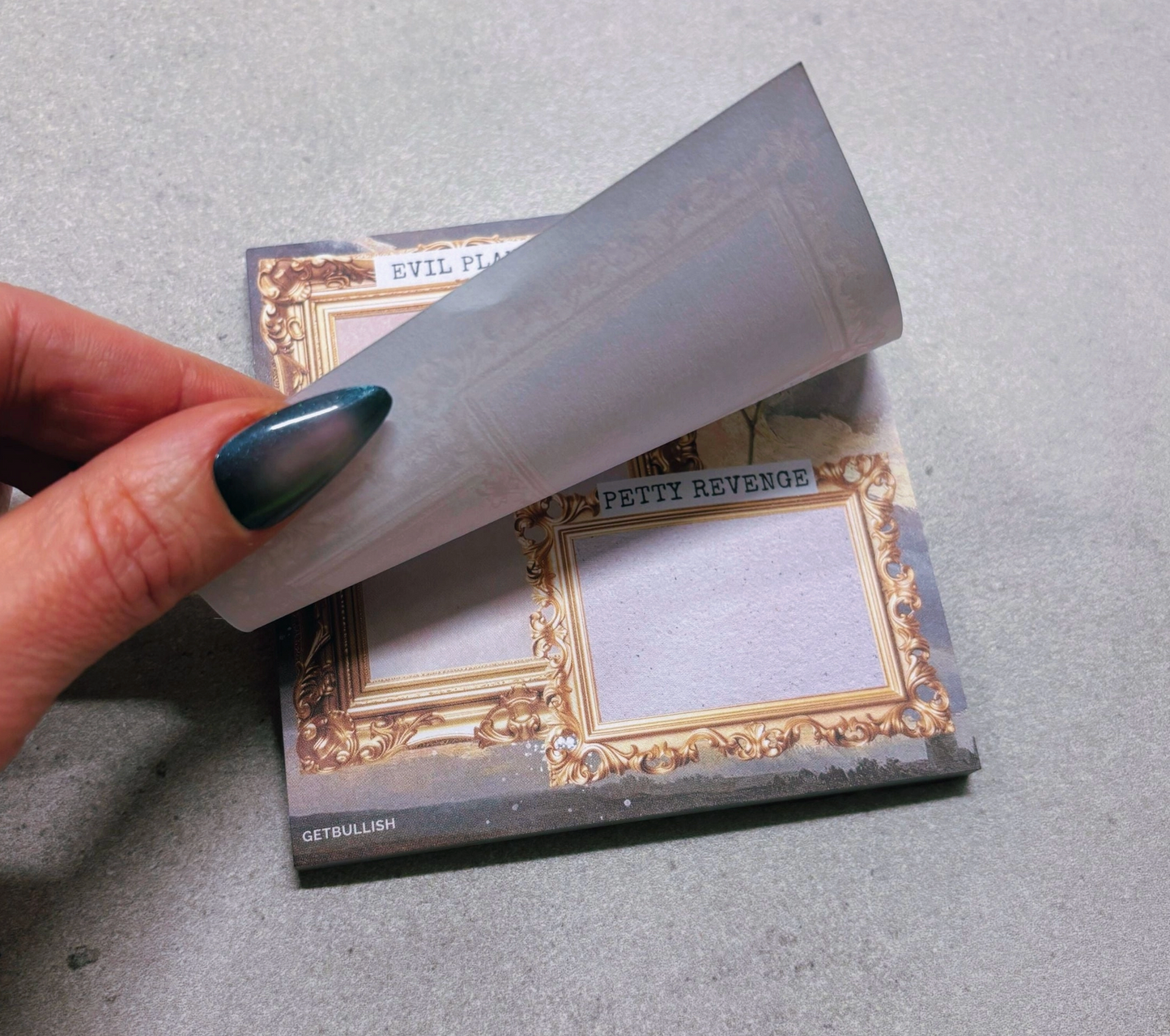 Evil Plans Petty Revenge Sticky Notes