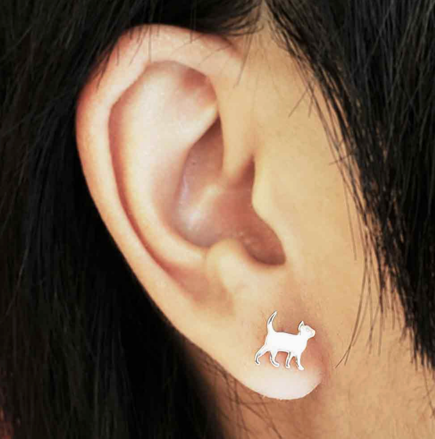 Curious Kitten Post Earrings