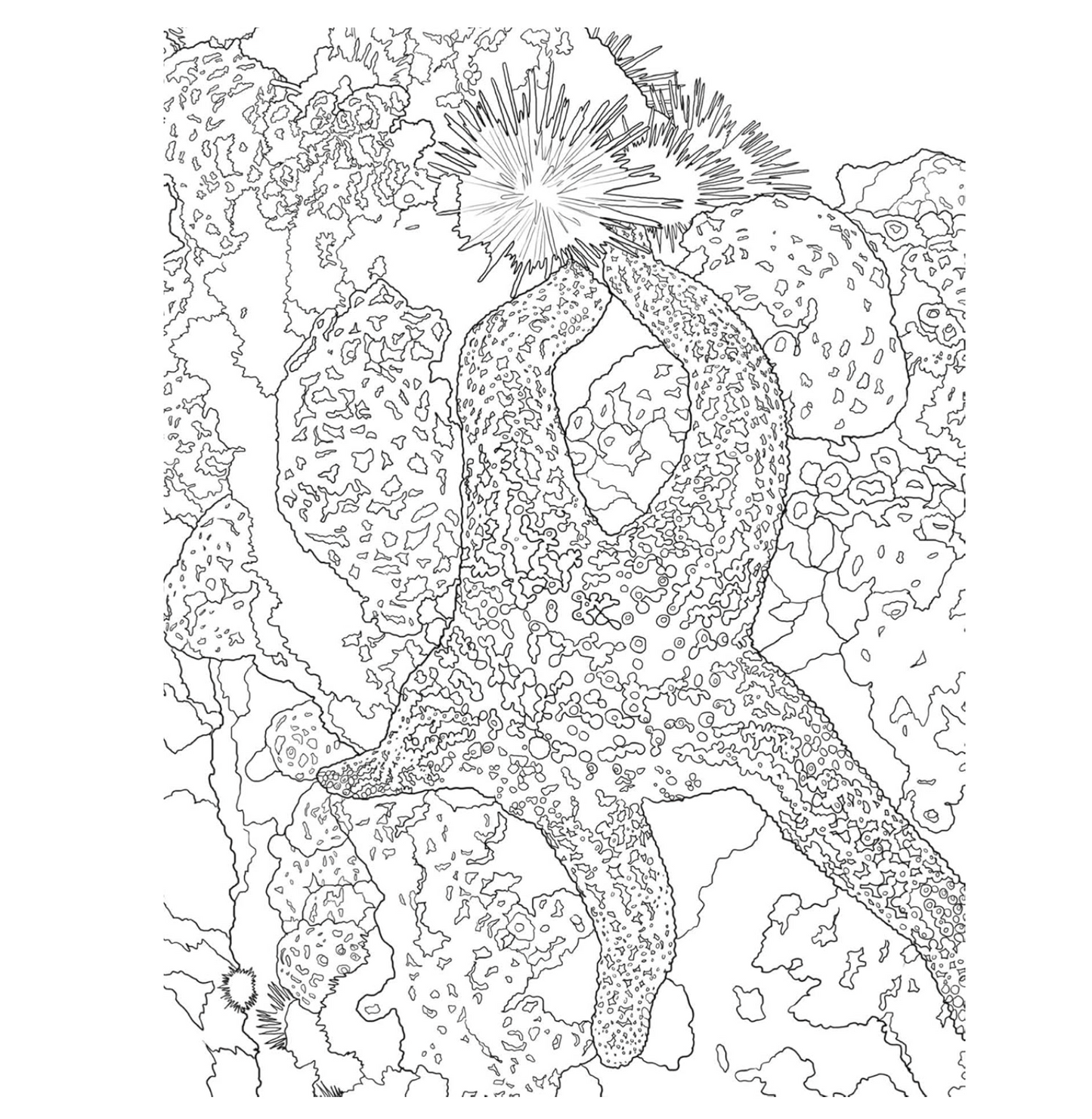 The National Parks Postcard Coloring Book