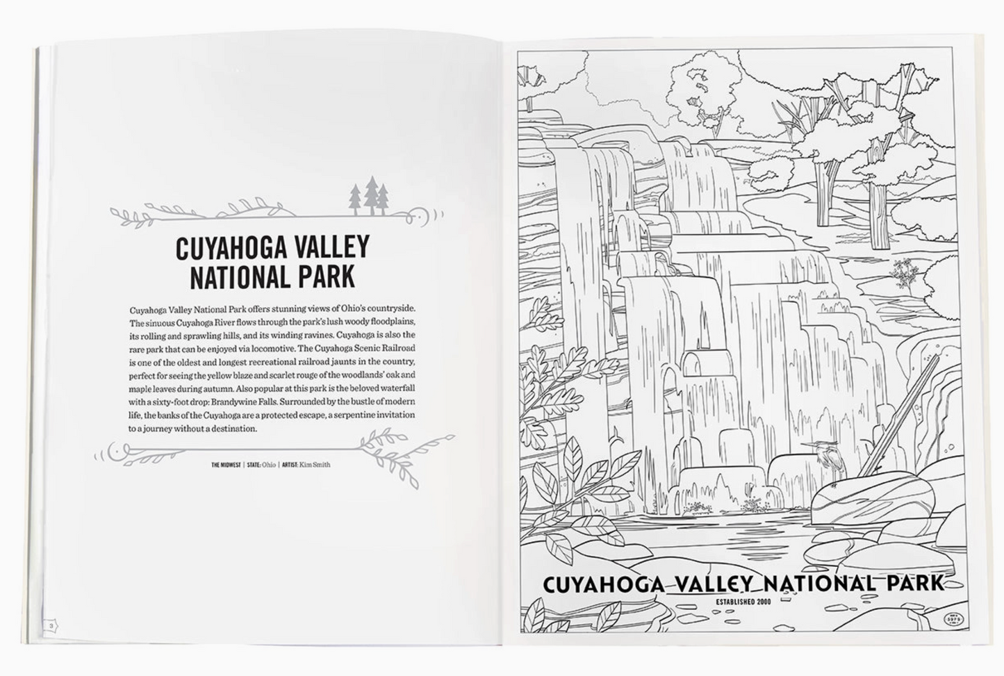 The Art of the National Parks Coloring Book