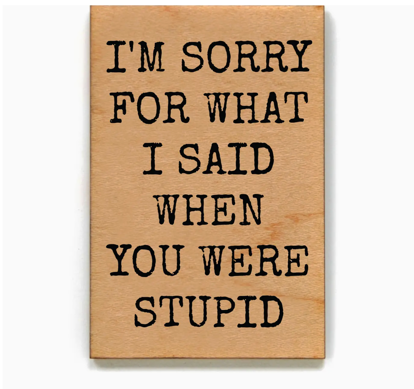 I'm Sorry For What I Said When You Were Stupid Magnet