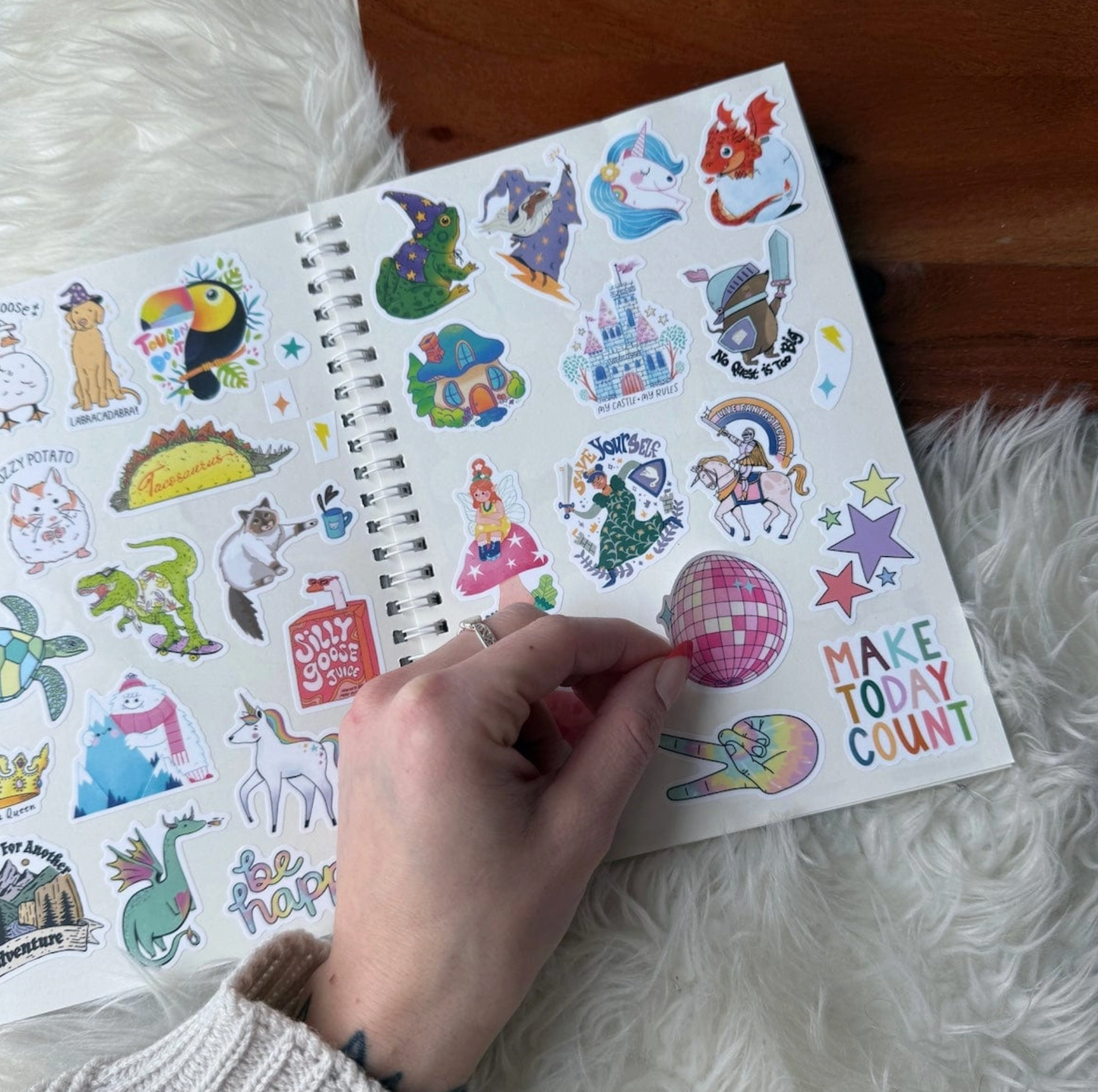 The Unused Sticker Book