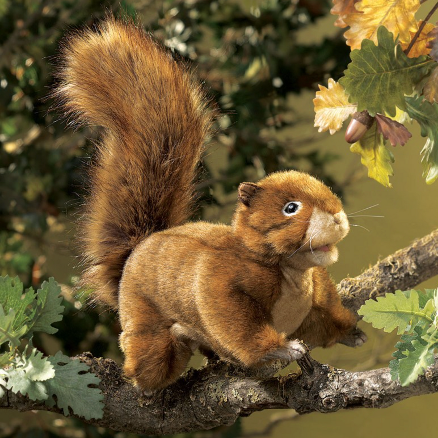 Red Squirrel Puppet