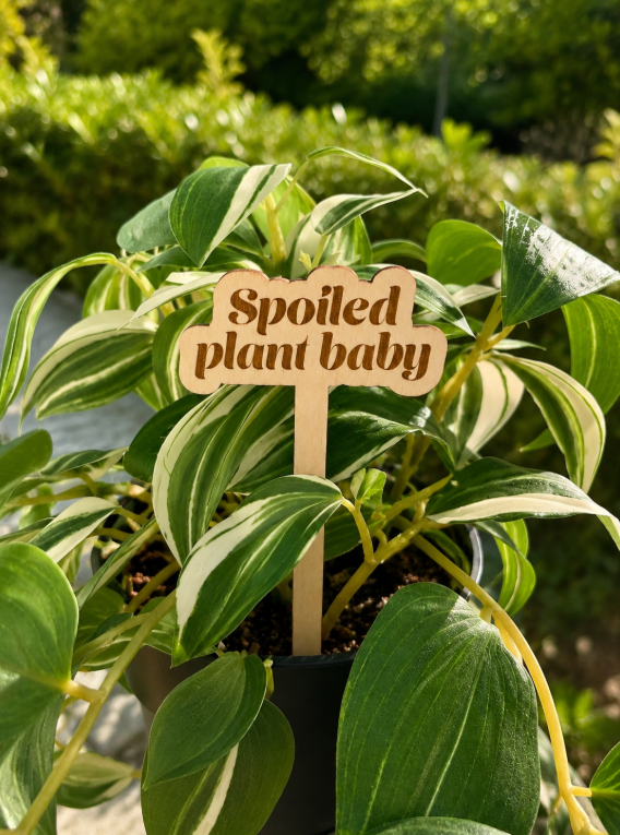 Spoiled Plant Baby Wooden Plant Stake