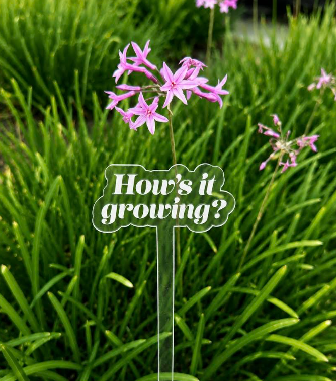 How's It Growing Acrylic Plant Stake
