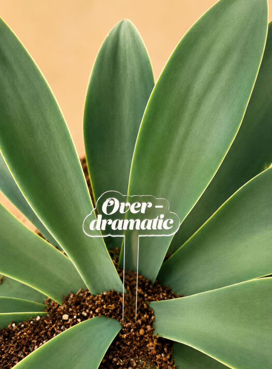 Over-Dramatic Acrylic Plant Stake