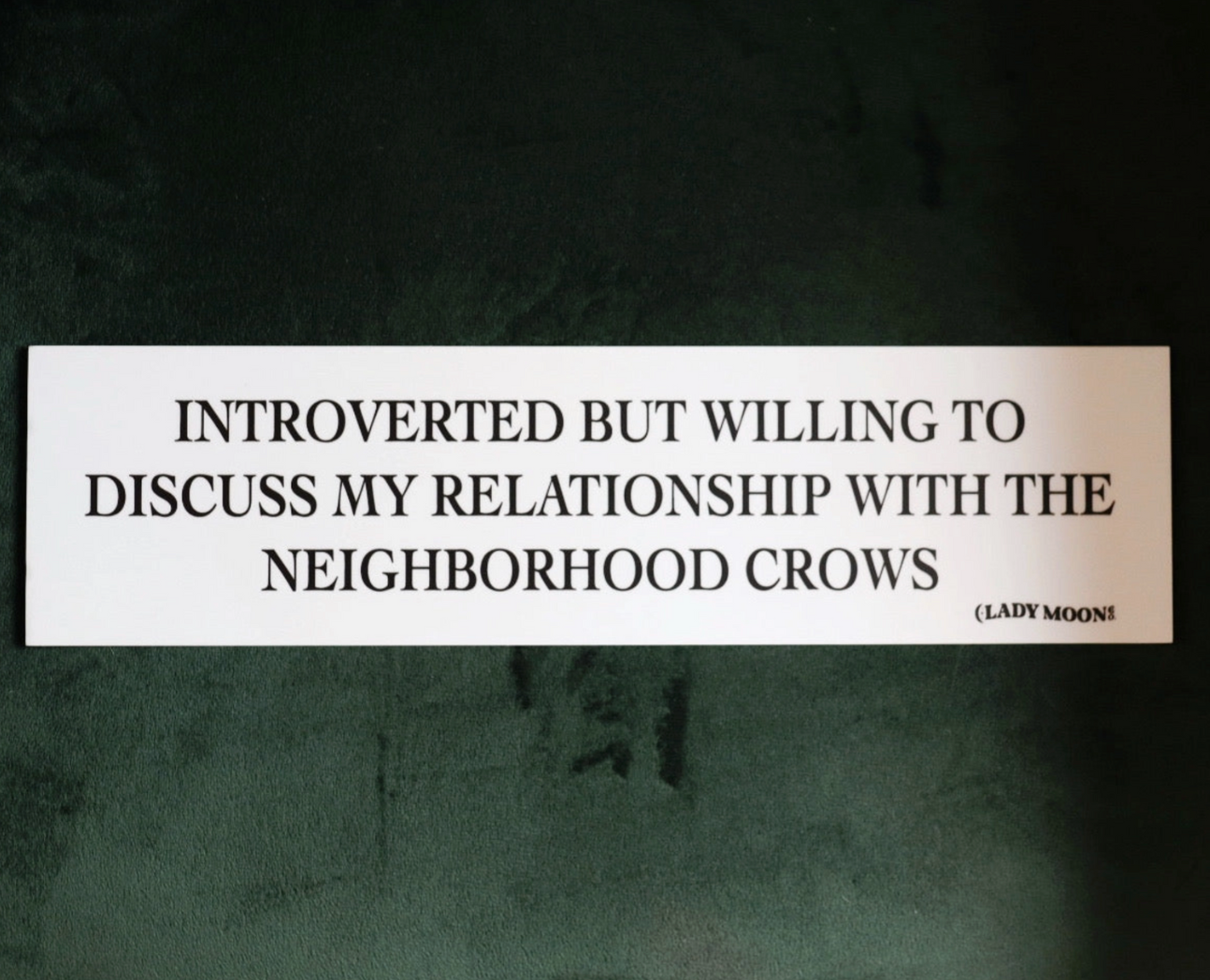 Introverted But Willing To Discuss My Relationship With The Neighborhood Crows Bumper Sticker