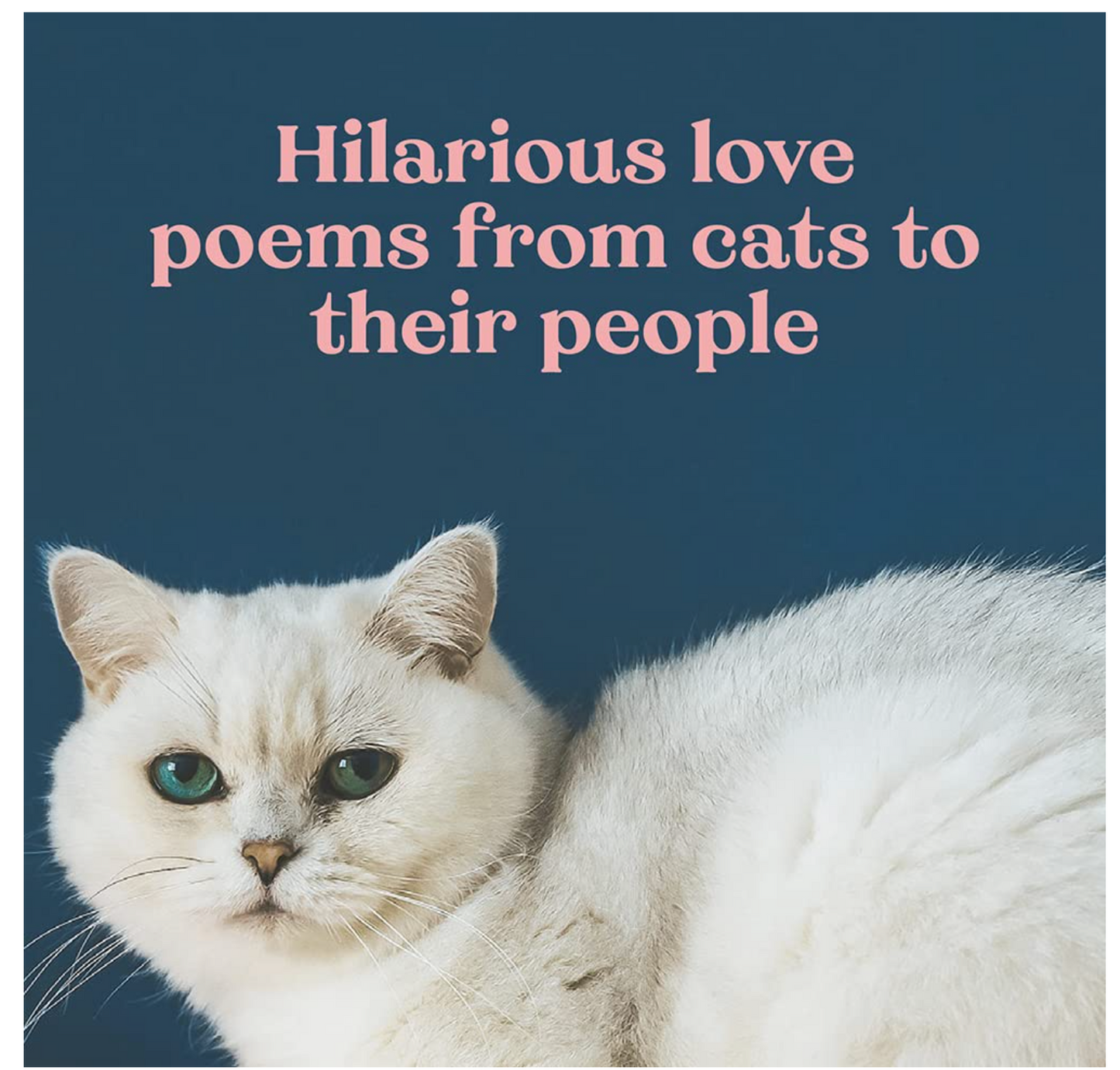 Oh. It's You.: Love Poems by Cats Book