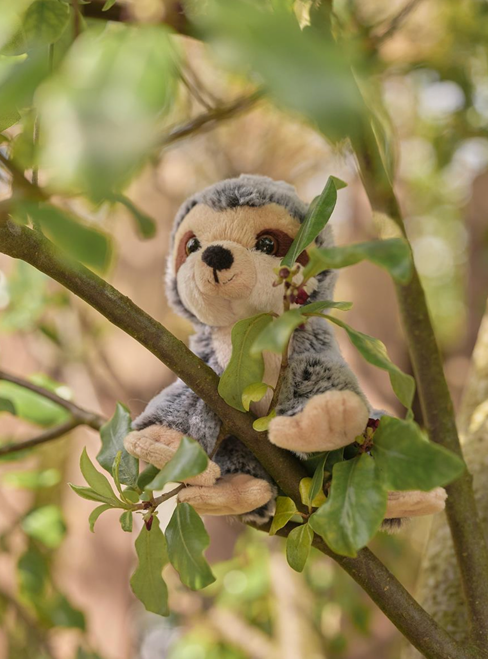 Cuddle Cub Sloth