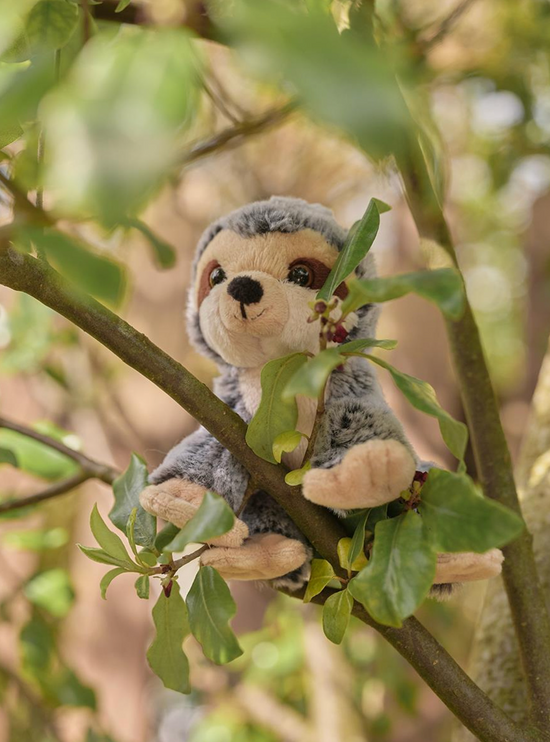 Cuddle Cub Sloth