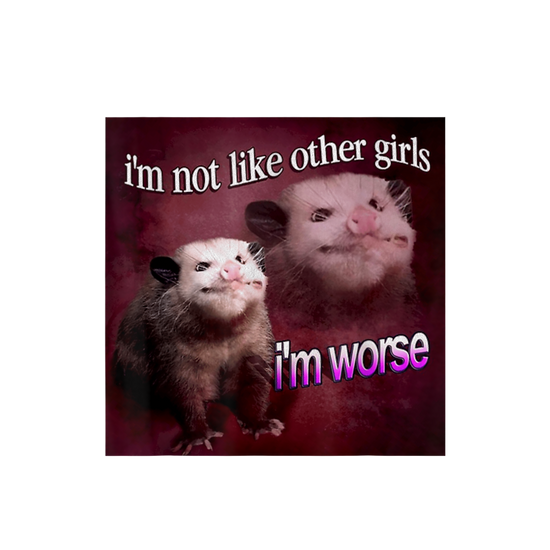 Load image into Gallery viewer, I&amp;#39;m Not Like Other Girls ...I&amp;#39;m Worse Sticker
