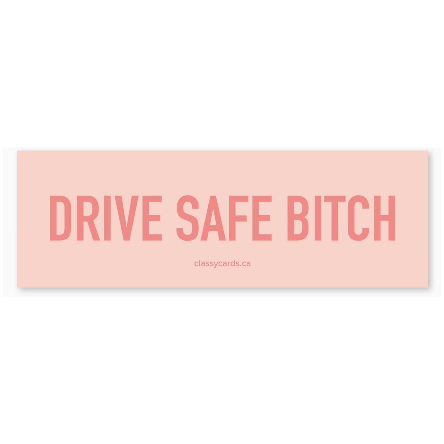 Drive Safe Bitch Car Magnet