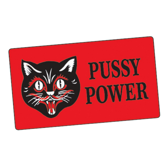 Pussy Power Sticker