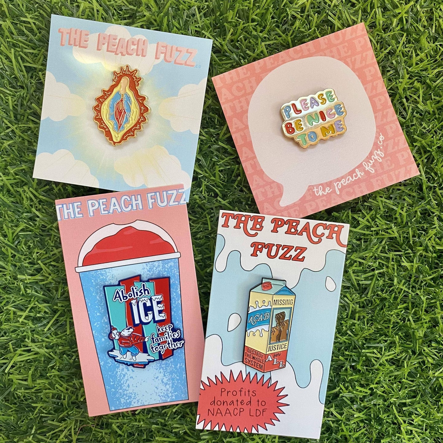 Please Be Nice To Me Pin