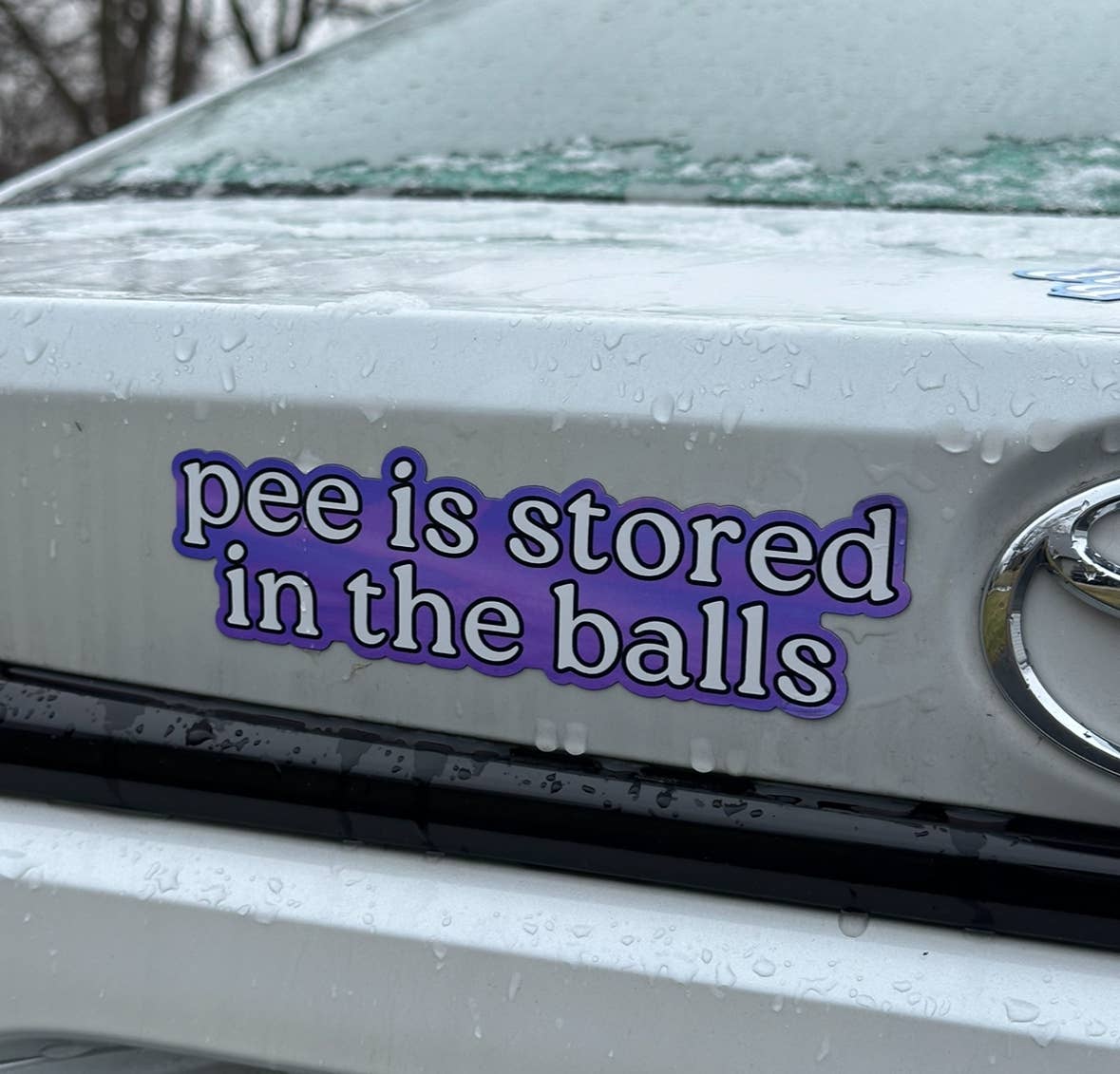 Pee Is Stored In The Balls Car Bumper Magnet