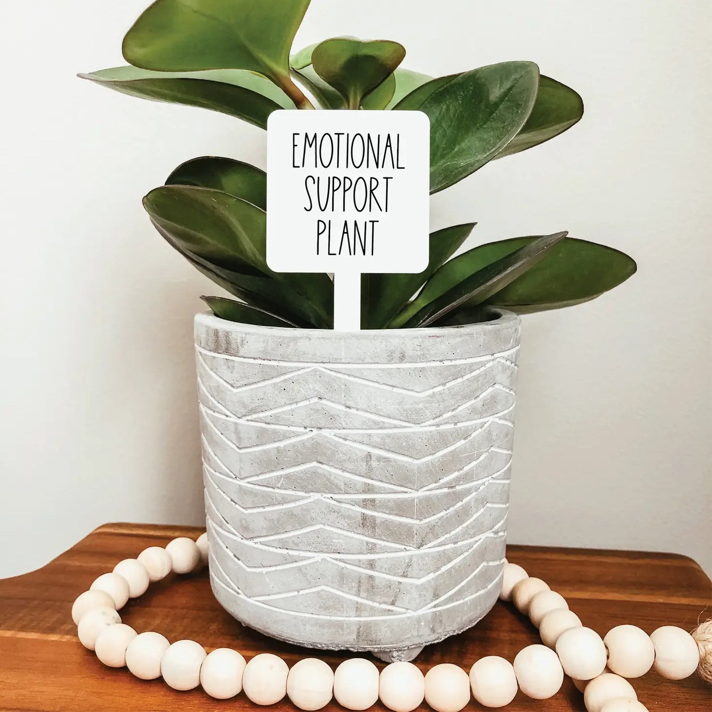 Emotional Support Plant Acrylic Plant Stake