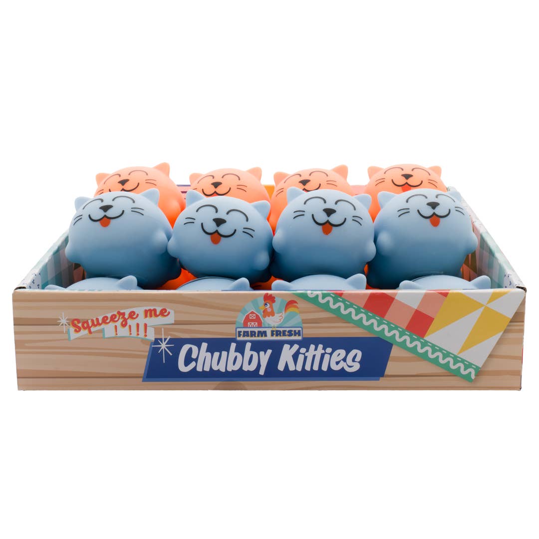 Chubby Kitties Assorted Squishy Toy
