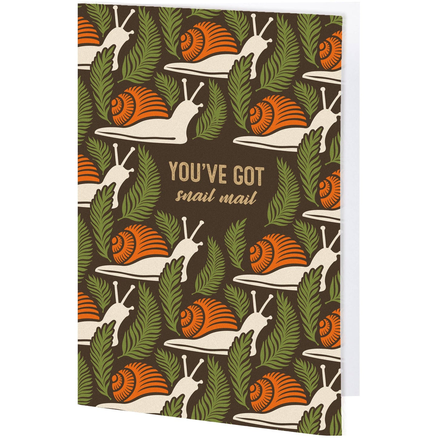 You've Got Snail Mail Card