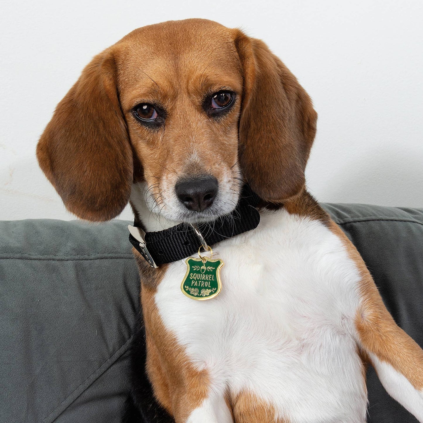 Squirrel Patrol Collar Charm Pet Tag