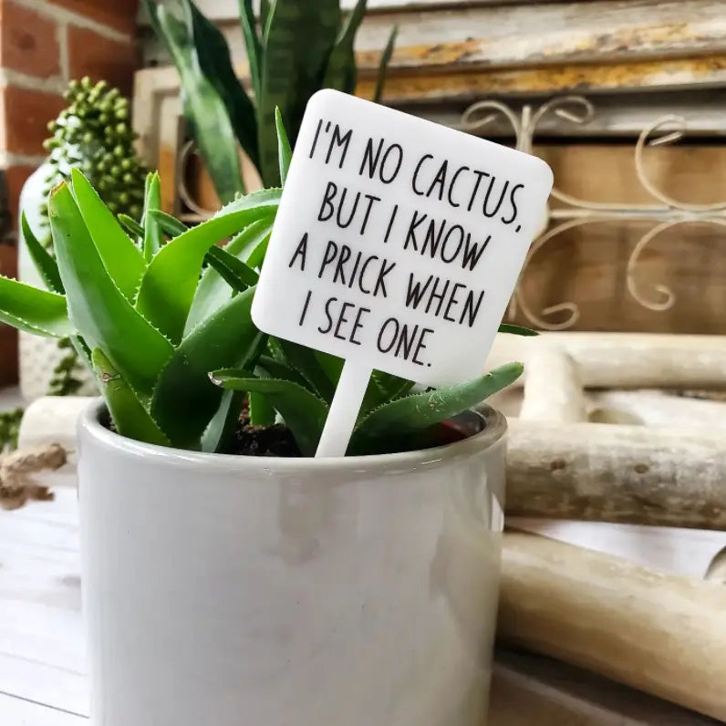 I'm No Cactus Acrylic Plant Stake
