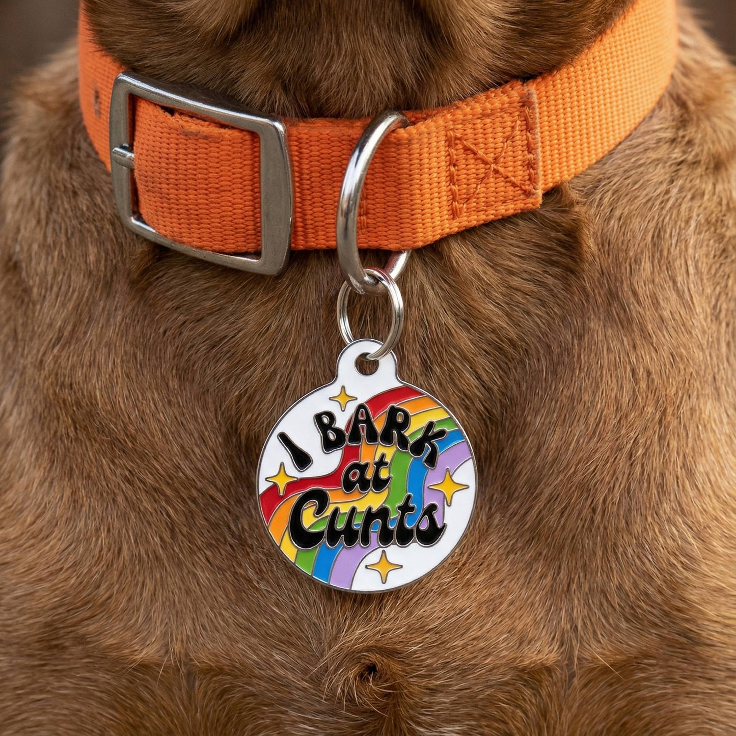 I Bark at Cunts Pet Tag