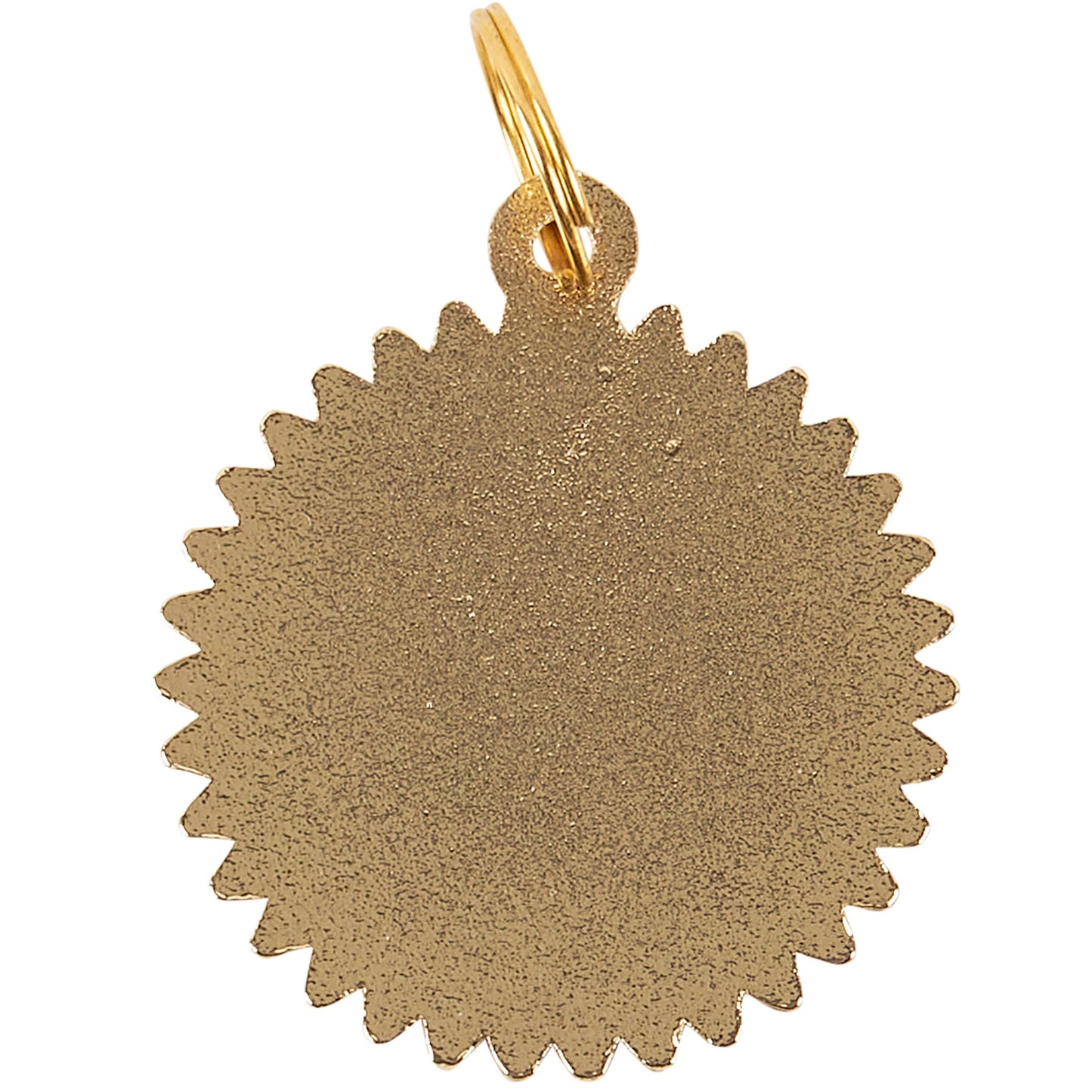Sun's Out Tongue's Out Collar Charm Pet Tag