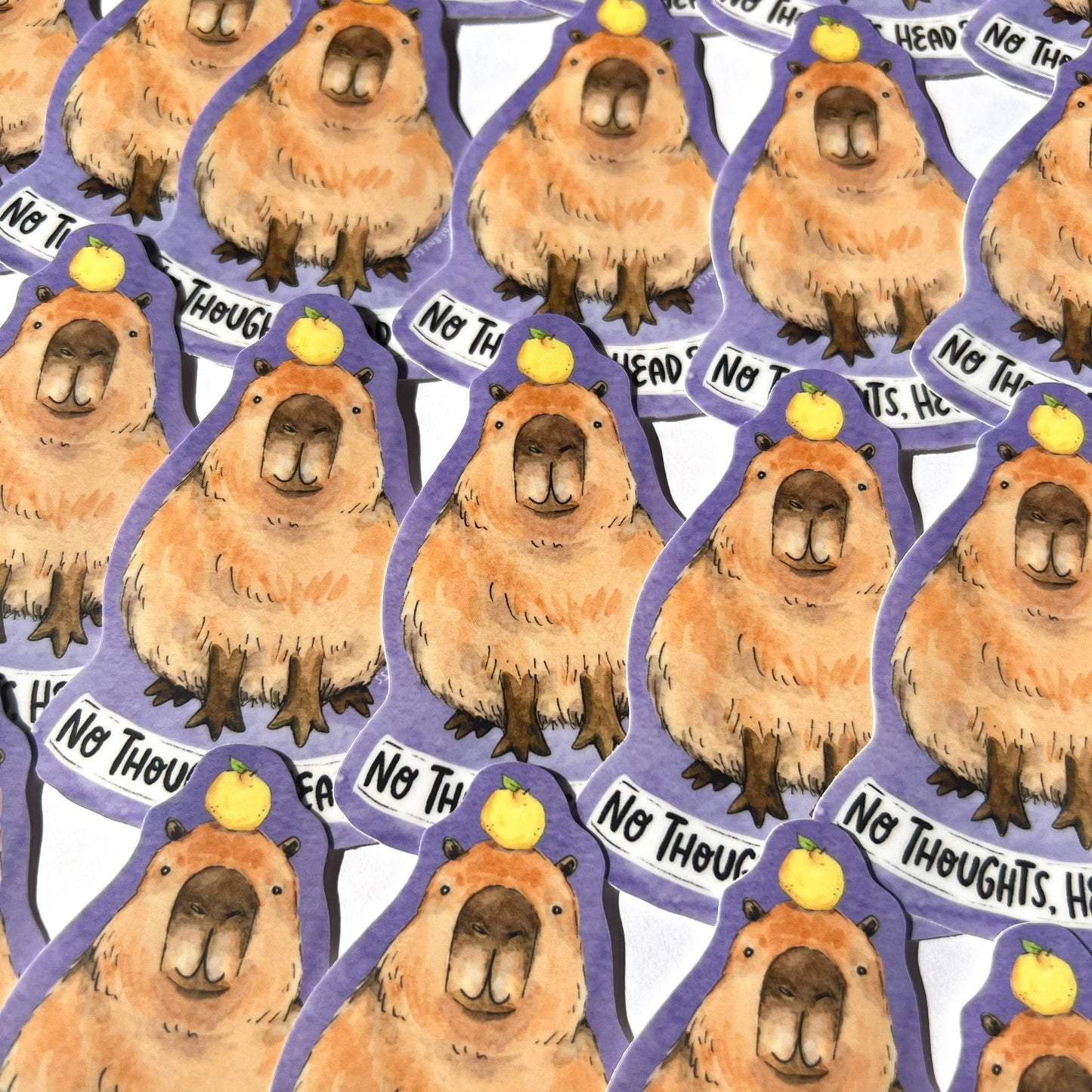 No Thoughts, Head Empty Capybara Sticker