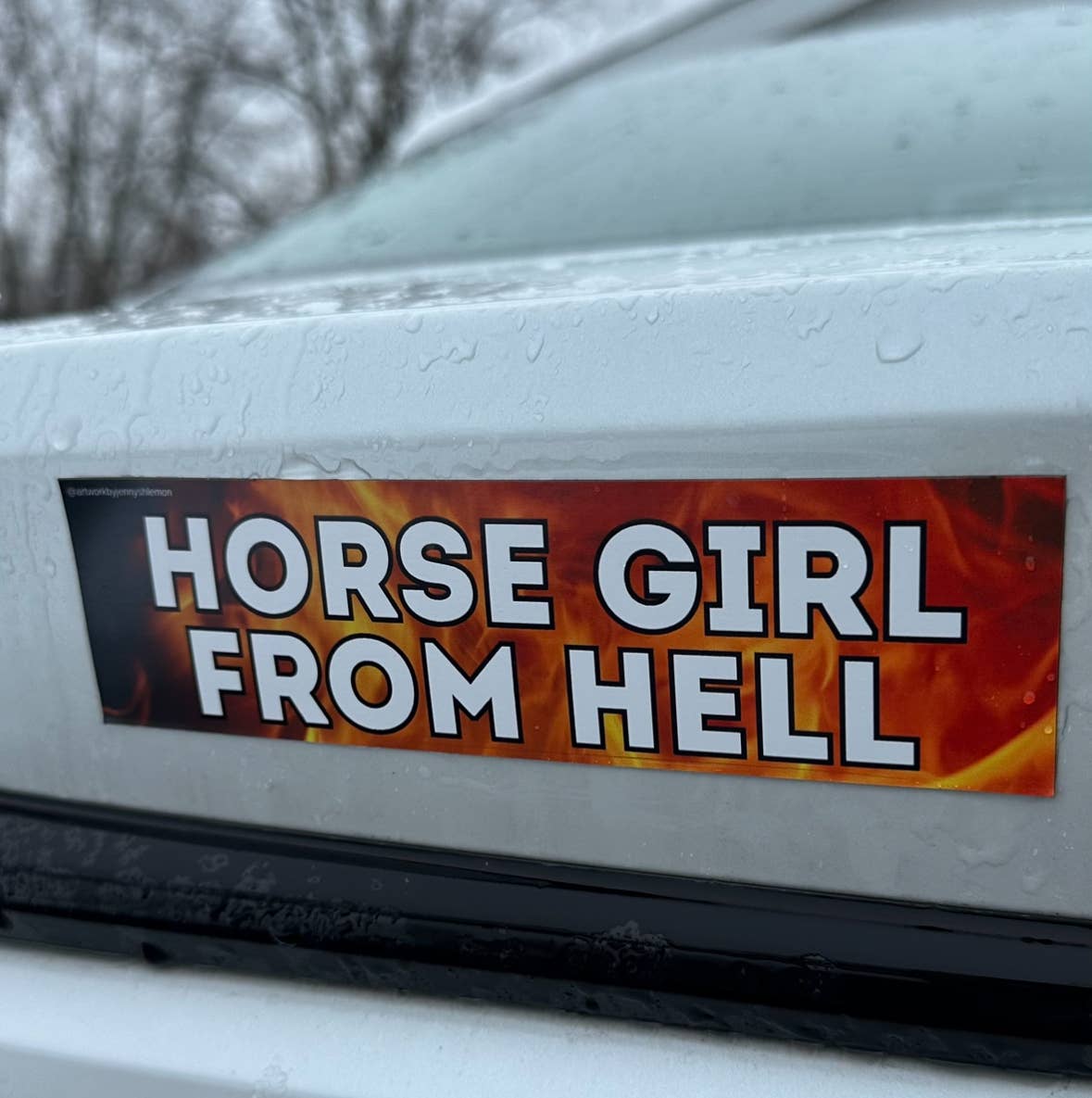 Horse Girl From Hell Car Bumper Magnet