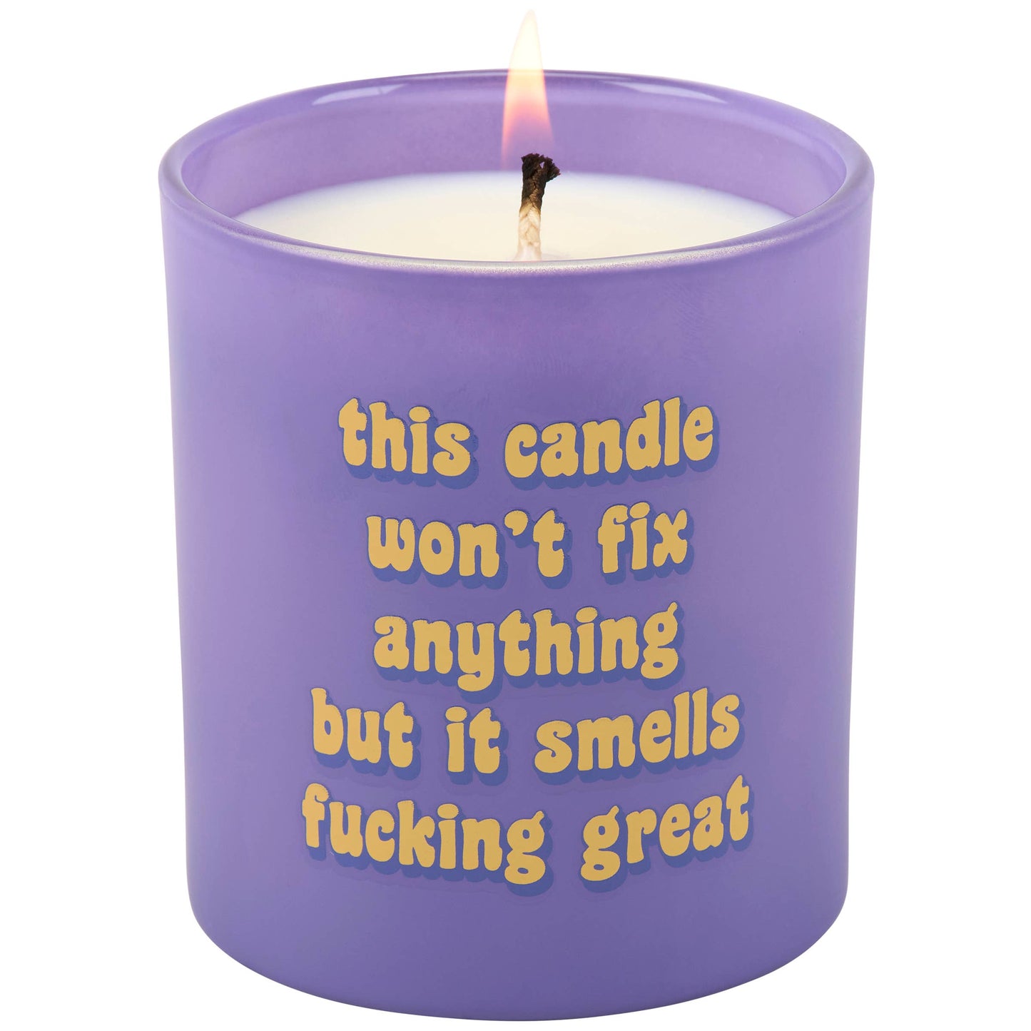This Candle Won't Fix Anything But It Smells Fucking Great Candle
