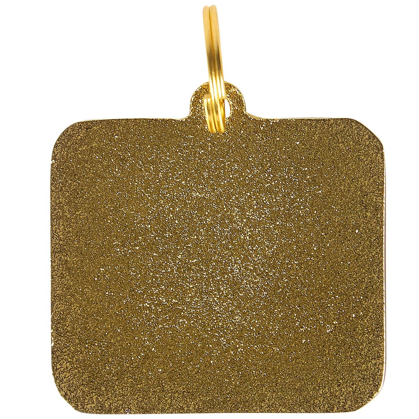Zero Woofs Given Collar Charm Pet Tag