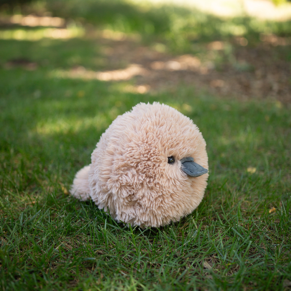 Fluffees Platypus Plushie