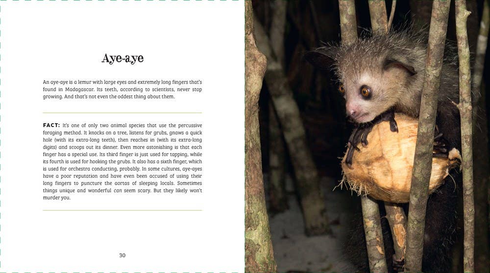 Ugly-Cute What Misunderstood Animals Can Teach Us About Life Book