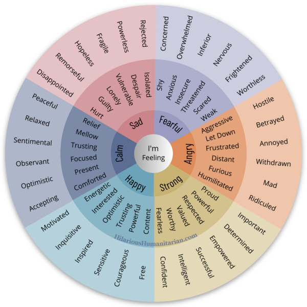 Wheel Of Emotions Magnet