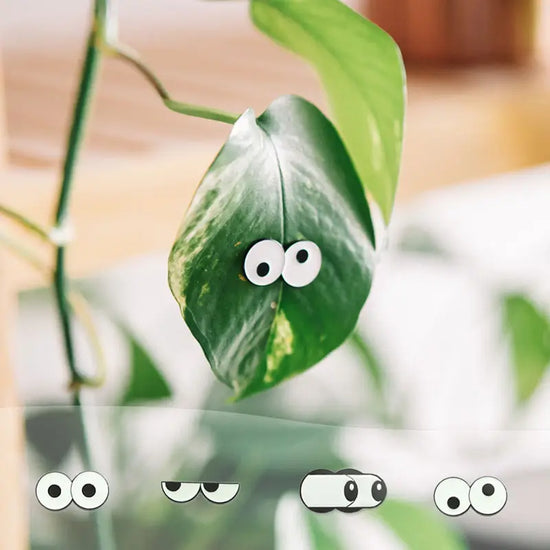 Load image into Gallery viewer, Glow Eyes Plant Magnets - 4 pack
