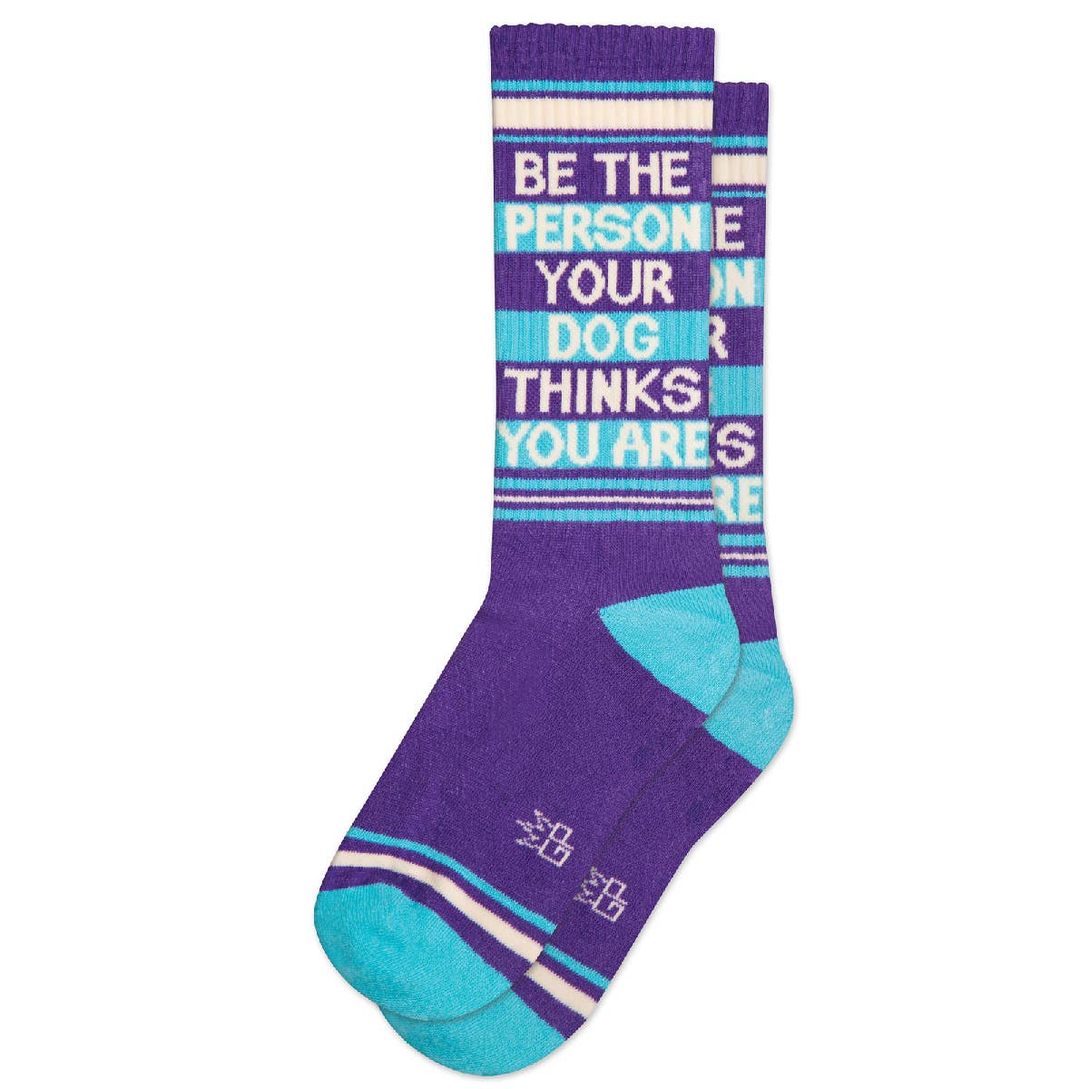 Be The Person Your Dog Thinks You Are Socks
