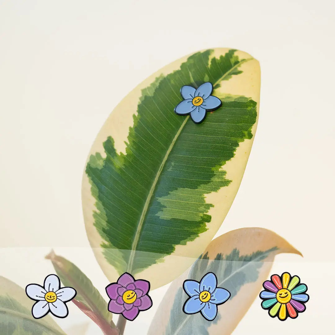 Load image into Gallery viewer, Flower Plant Magnets - 4 pack
