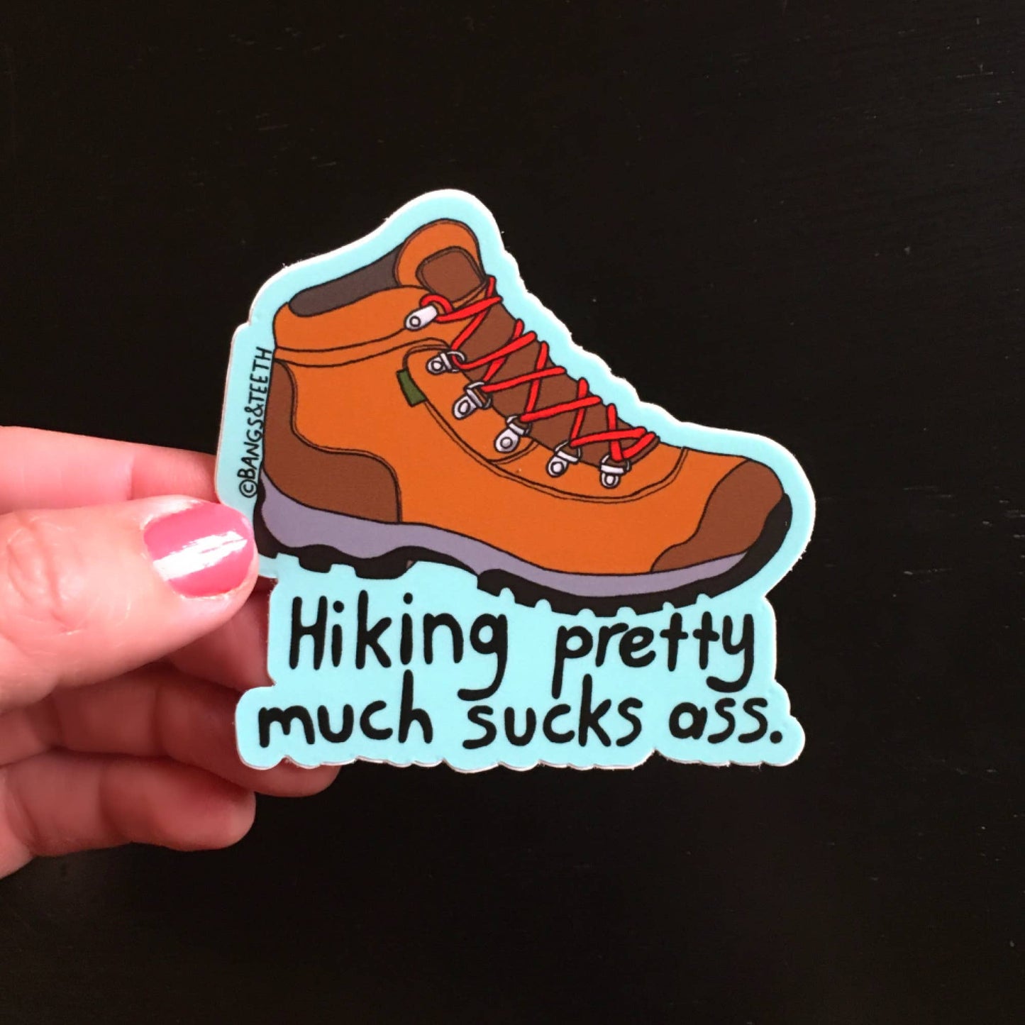 Hiking Sucks Ass Sticker
